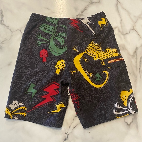 Quiksilver boys swim trunk size large - Picture 3 of 10